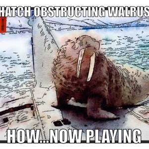 Meet your Posher, Shontelle